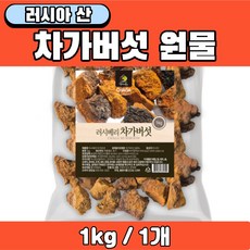 러시아 차가버섯 차 음료 물 만들기용 원물 원재료 100% 건차가버섯 건조차가버섯, 1개, 1kg