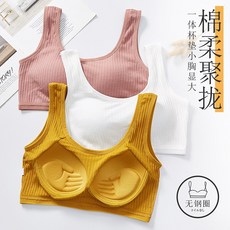 트레디스 노와이어브라 미등기 가슴랩 소녀 학생 끈나시 속옷 일체 브래지어 노출방지 이너 가슴을 모아주는 볼륨업 튜브탑