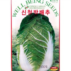 청방배추