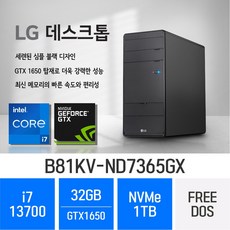 LG 데스크탑 B81KV-ND7365GX - i7 CPU + GTX1650, 32GB, 1TB, Free Dos