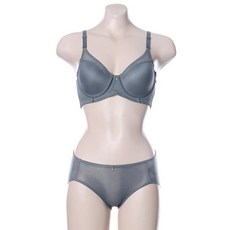 [비비안]메쉬풀컵E~F컵 브라팬티세트 BR0689 BP0689P