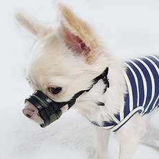 소형견입마개-추천-상품