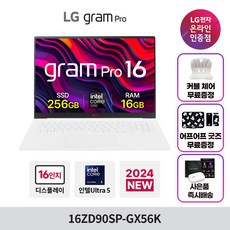 LG 그램16 프로 16ZD90SP-GX56K, Free DOS, 16GB, 256GB, 화이트