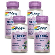 솔라레이 빌베리 추출물 60mg 캡슐, 4개, 120정
