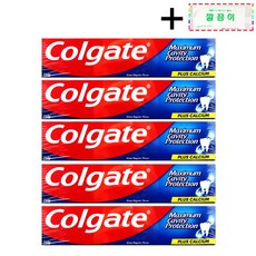 [코스트코 무료배송] COLGATE 콜게이트 그레이트 레귤러 치약 + 깔끔이 증정, 5개, 250g