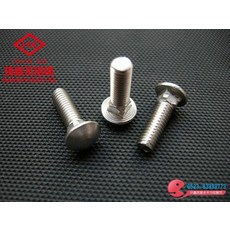 볼트 304스테인리스 반원헤드 GB12나사 M10x20/25/30/35/40/60/80마차, T12-M10x75(100개)-I8JH