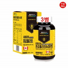 비염에좋은영양제