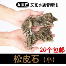 어항조경송피석다공진석가산미경관장식석송피트럼펫진열수조석, 5센티 정도 송피, 1개