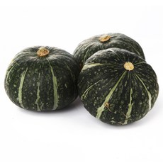 제철 싱싱 햇 단호박 단호박10kg 1개