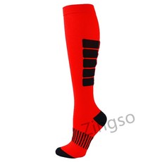 높은밴드스타킹