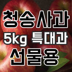 청송사과선물세트 5kg 특대과 부사, 1박스, 청송사과선물세트 5kg 특대과 (9과~11과)