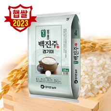 23년산 햅쌀 정직한농부 백진주 쌀 10kg 안전박스포장, 1개