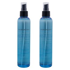 히솝 퍼펙엔 슈퍼 하드 미스트 헤어스프레이, 2개, 250ml