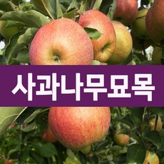 b2a730b27594c98cf03c5299d8bb1fcca0b588a922e758d94aee4b948758.jpg