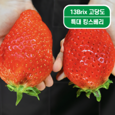 [백화점 납품] 13brix 고당도 킹스베리 두손으로 잡는 딸기 논산 킹스베리, 1박스, 대왕특(2팩)