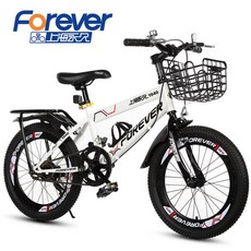 아이바이크20인치