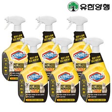 유한락스 펫메스 리무버 750ml 6개 반려동물 강아지 고양이 탈취제 냄새 얼룩 제거, 단품 - 펫메스리무버