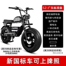 전기자전거 소형 운송 배터리 자동차 자토바이 전동 배달 출퇴근 안장 이동식, 48V, 30AH, C. S2 스탠다드(충격 흡수)