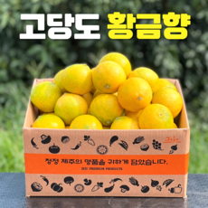 제주 황금향 과일 세트, 1세트, 선물용 5kg 중과 (18~23과)