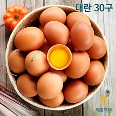 계란 TOP01