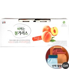 떠먹는아이스박스