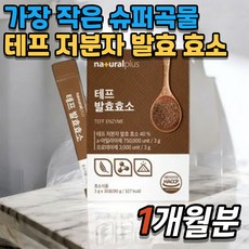 플러스 테프 발효효소 차전자피분말 바나바잎 비타민 미네랄 유산균, 1개, 90g