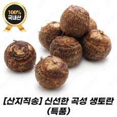 [산지직송] 국내산 신선한 곡성 생토란(특품)