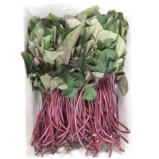 고구마순줄기김치