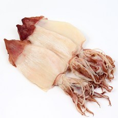 마른 한치 AAA등급 최고급 우윳빛깔 반건조 한치 업소용 왕특대~소 20미, 1팩, 왕특대 20미(1.7kg내외)