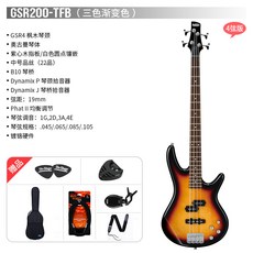 아이바네즈sr300e