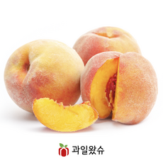 [과일왔슈] 물복 황도 그린황도 하우스 복숭아 햇복숭아 물렁이 말랑이 고당도 단황도 물복피치