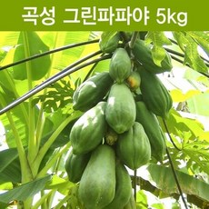 파파야멜론