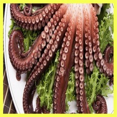 국내산 자연산 국산 산지직송 당일조업 문어숙회 통영 활 돌문어 1kg 당 (1~3미), 3kg, 1개