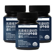 네추럴플레이스 프로테오글리칸 연어코 연골 추출물 골드 500mg 60정, 3개