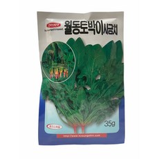 덴마크시금치씨앗500립