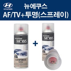 더뉴카니발천정tv