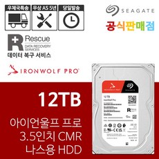 씨게이트 아이언울프 프로 12TB ST12000NT001 NAS 하드디스크 - 아이언울프12tb