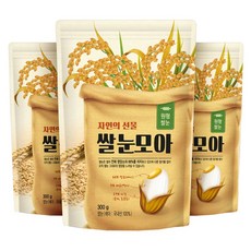 쌀눈