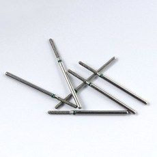 부르비트