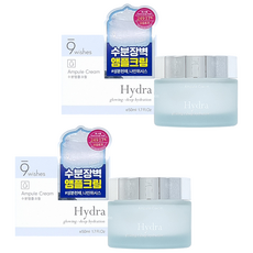 나인위시스 하이드라 앰플 크림 50ml 1+1 깊은 피부까지 확실한 보습 효과 전달, 2개