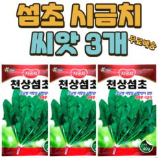 월동 섬초시금치 씨앗 (40g) 3개 겨울 재래종 종자 씨