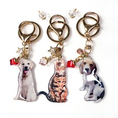 고양이전신제작