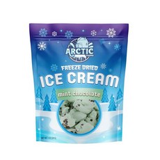 Arctic Farms 동결건조 아이스크림 녹지않는 우주 아이스크림, Mint Chocolate Chip_1봉, 28g, 1개