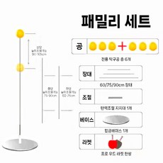 탁구연습기, 1개