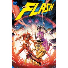 The Flash Vol. 14: The Flash Age Paperback, DC Comics