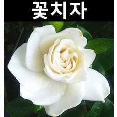 3a85b1c27c90c33134f0bf335cc8315de2acf6ff8822e1f0358cac73699d.jpg