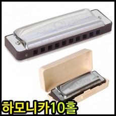 닥마제이든10홀