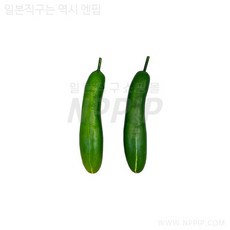 다이소가짜 채소오이 가성비 663211, 1개 - 다이소몰