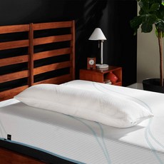 템퍼바디필로우