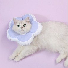 비마이펫넥카라